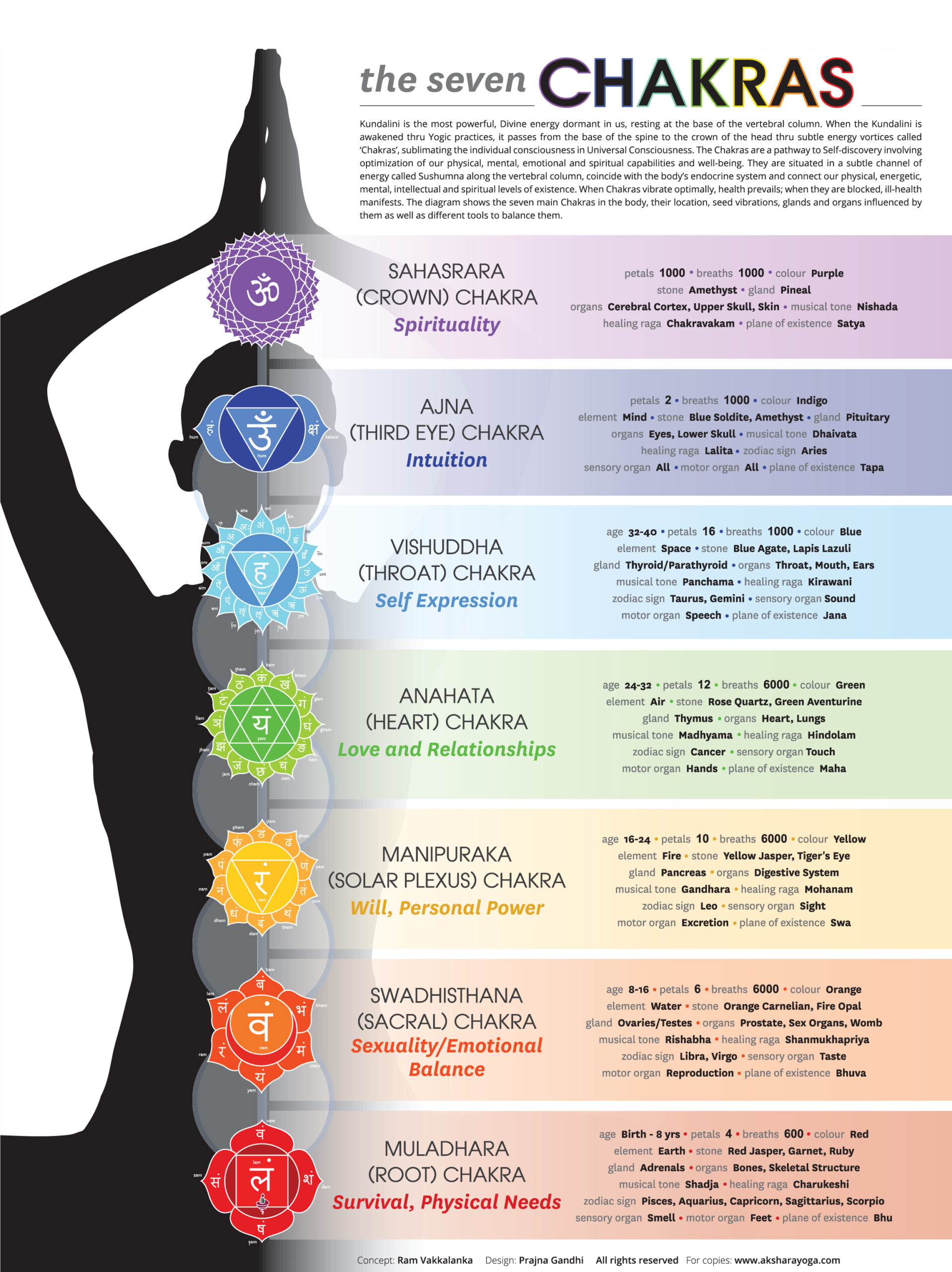 Section 3.5: The Seven Chakras — Maya Yoga Academy